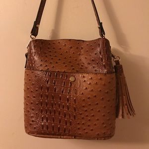 Alligator boutique purse